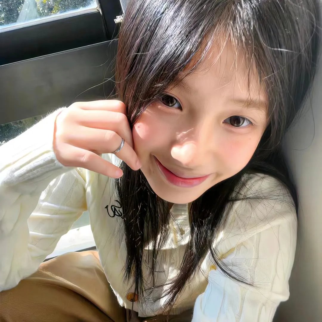 菊石