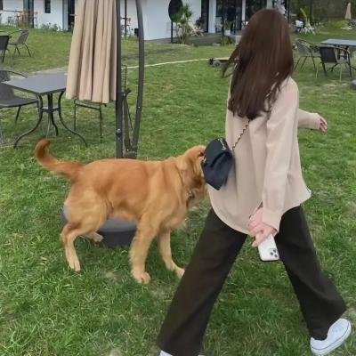 变装皇后复仇记